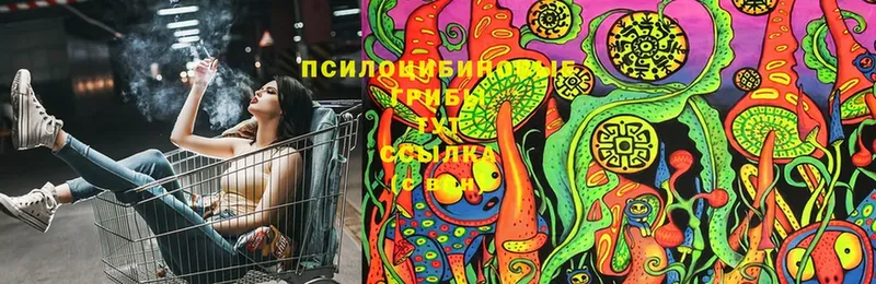 Галлюциногенные грибы Psilocybine cubensis  Белая Холуница 